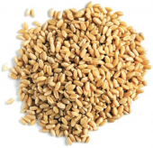 Зерно пшеницы отборное, 1 кг