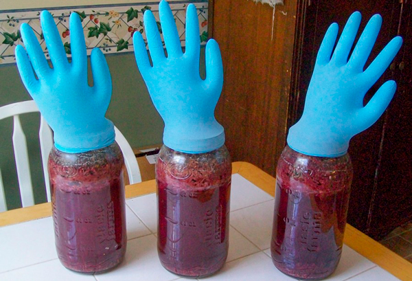 Как использовать перчатку вместо гидрозатвора для приготовления браги?